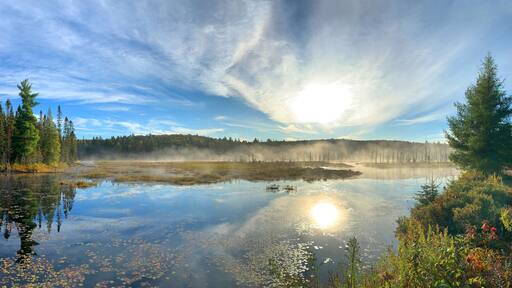 West Rose lake in the early morning fog along the Mizzy lake trail in Algonquin Park, Canada