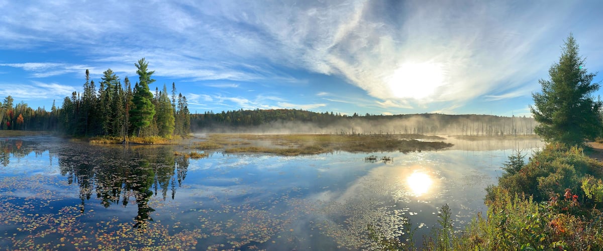 A serene lake surrounded by dense forest, with sunlight reflecting off the water's surface.