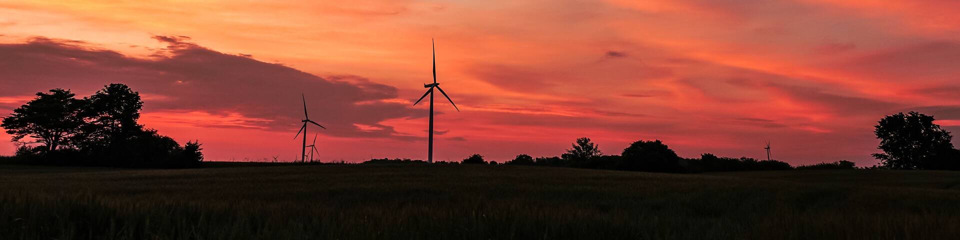 Wind Turbines Catch the Early Morning Breeze in Jarvis