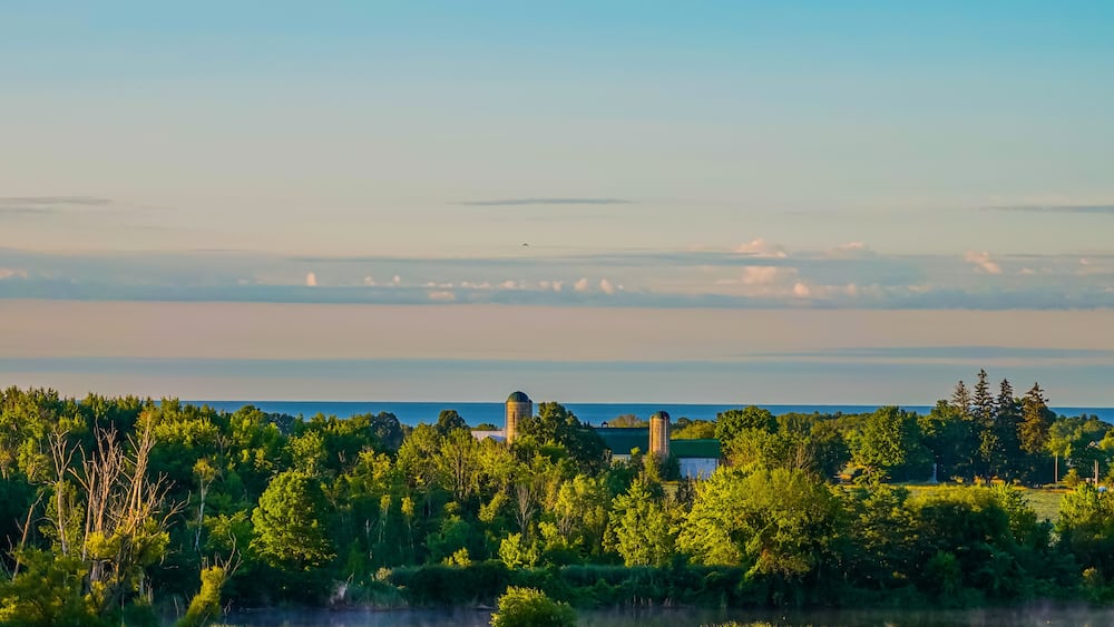First Light of a Summer's Day in Alnwick/Haldimand