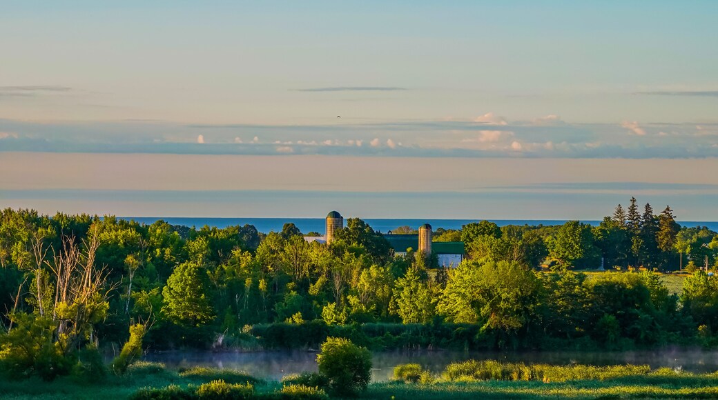 First Light of a Summer's Day in Alnwick/Haldimand