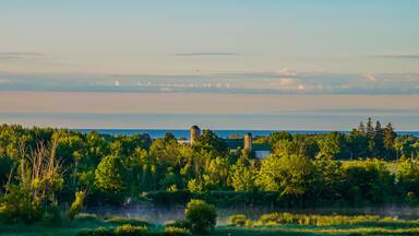 First Light of a Summer's Day in Alnwick/Haldimand