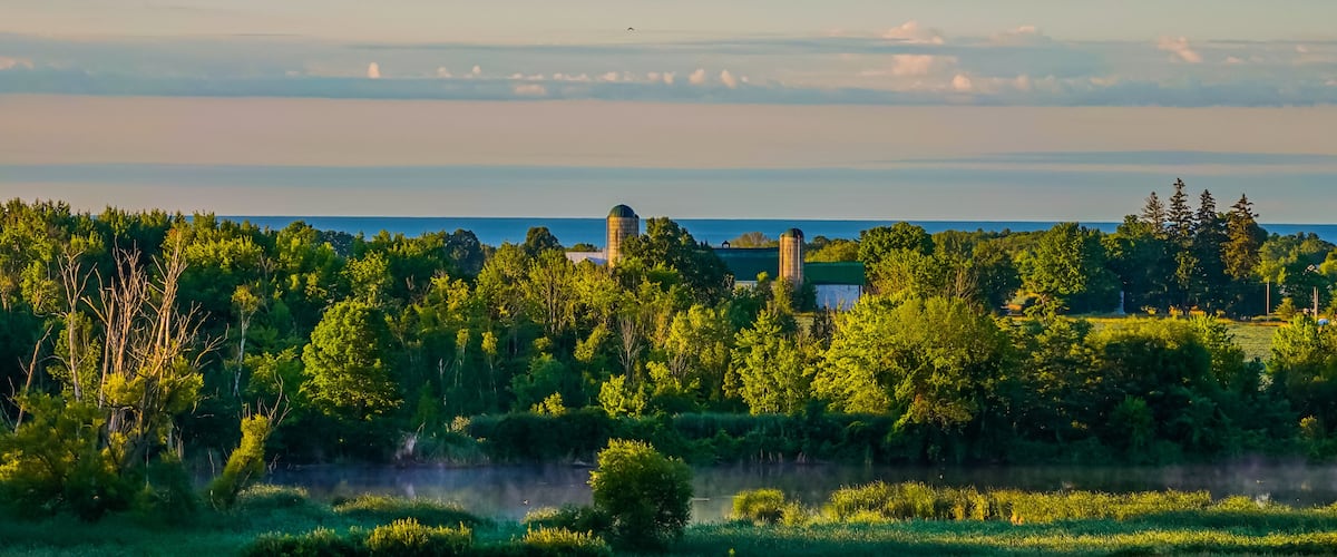 A rural landscape with a body of water, dense greenery, and two cylindrical silos.