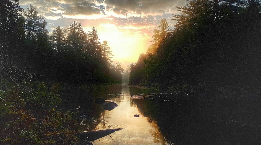 We had some pretty amazing sunrises while paddling the Barren Canyon in Algonquin Provincal Park! #sunrise #outdoors