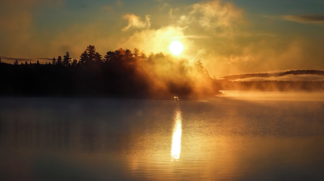 Recently stayed at Algonquin Park for my last camping spot of the season. Staying at the pet friendly Lake of Two Rivers campground, you can expect to see anything from Geese, Bear, Moose, Wolves, Skunks and more. The campground is central of all that Algonquin has to offer such as the numerous lakes to portage, or trails to hike. The campground is also equip with laundry facilities for when your tent gets rained out (like mine did), washroom and showers. End of September and Early October is when you can expect a lot of traffic as that's when the 'Leafers" come up (those whose purpose is to view the brilliant fall leaves in the park). The best trail to view these leaves is the Lookout Point. Expect steep inclines and declines and rated as an intermediate trail with a distance of 2KM round trip (30 min).