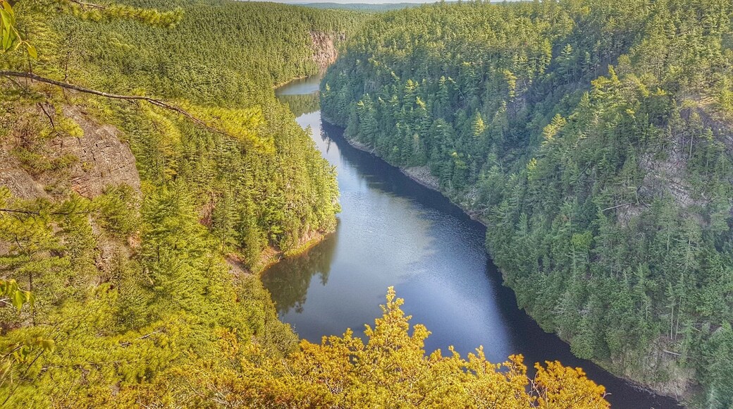 Beautiful view of the Barren canyon in Algonquin Provincal Park. We spent the next few days paddling and canoe camping this stunning area. #outdoors #river