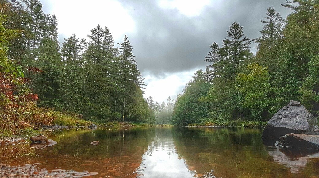 Beautiful calm after the rain in Algonquin Park.