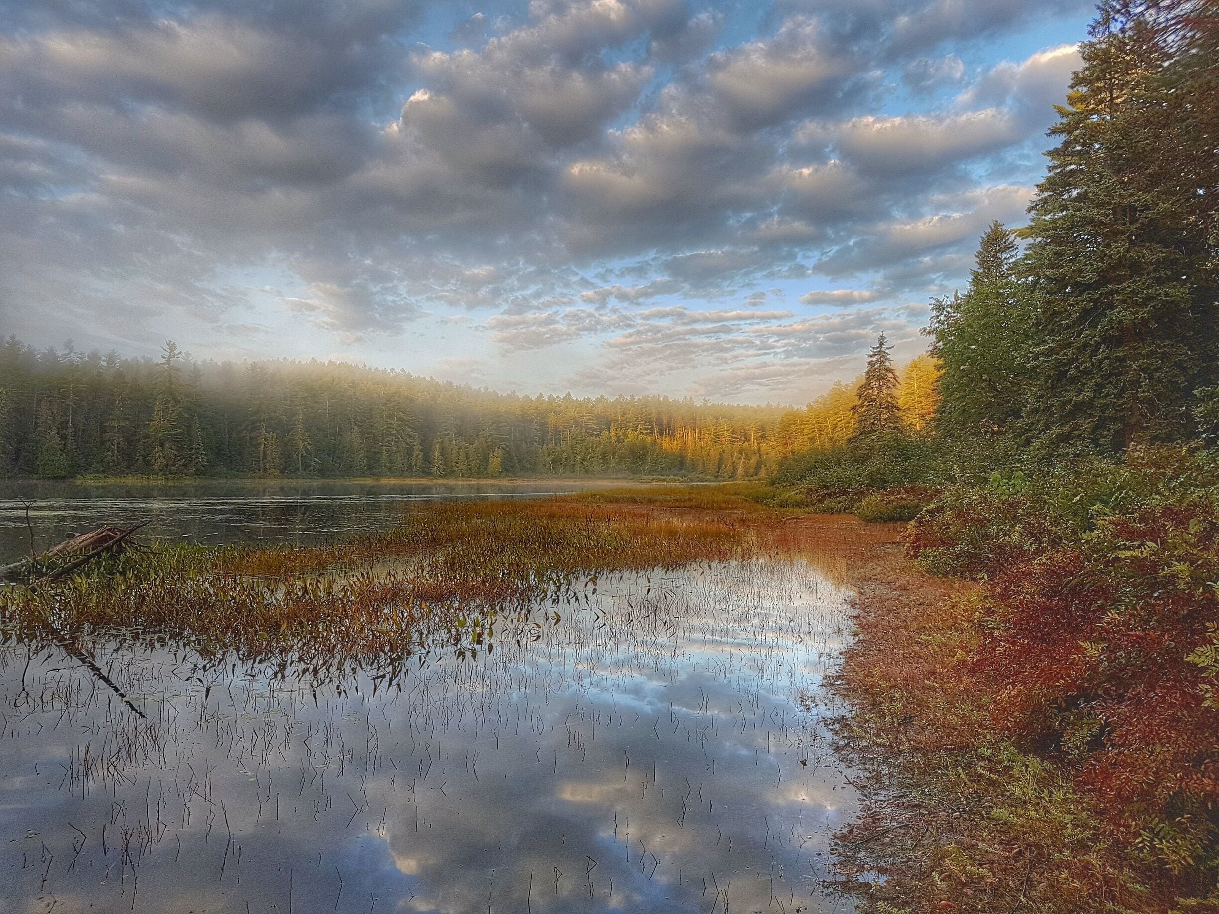 Early morning in Algonquin Park. 