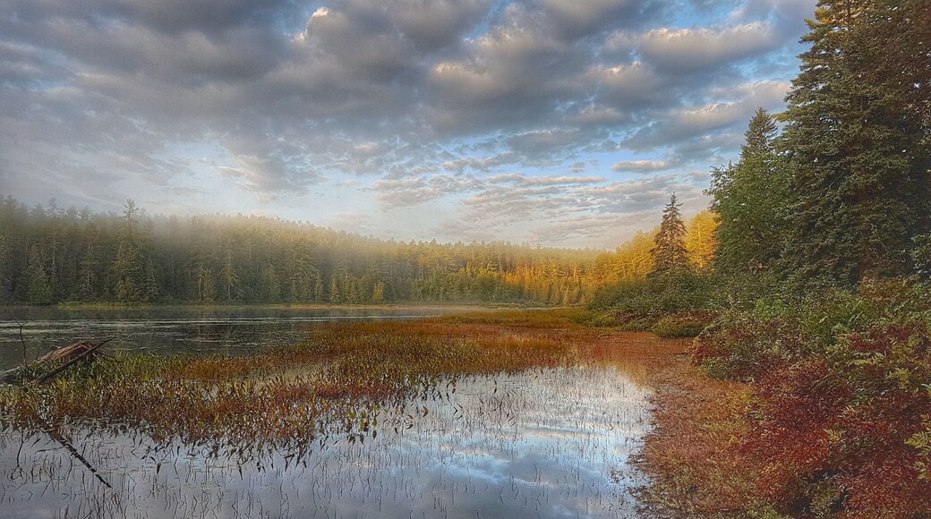 Early morning in Algonquin Park.