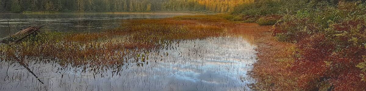 Early morning in Algonquin Park.