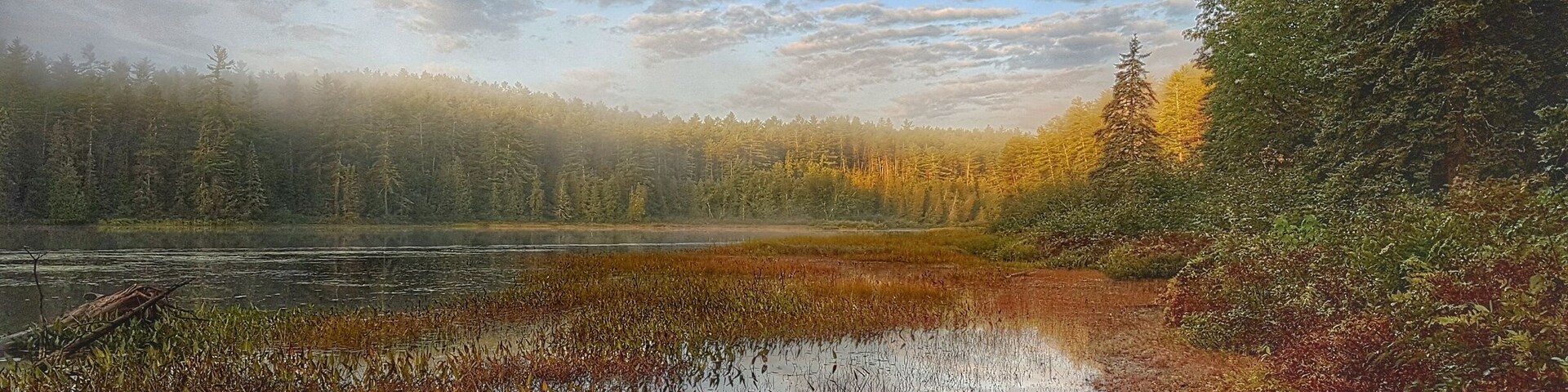Early morning in Algonquin Park.