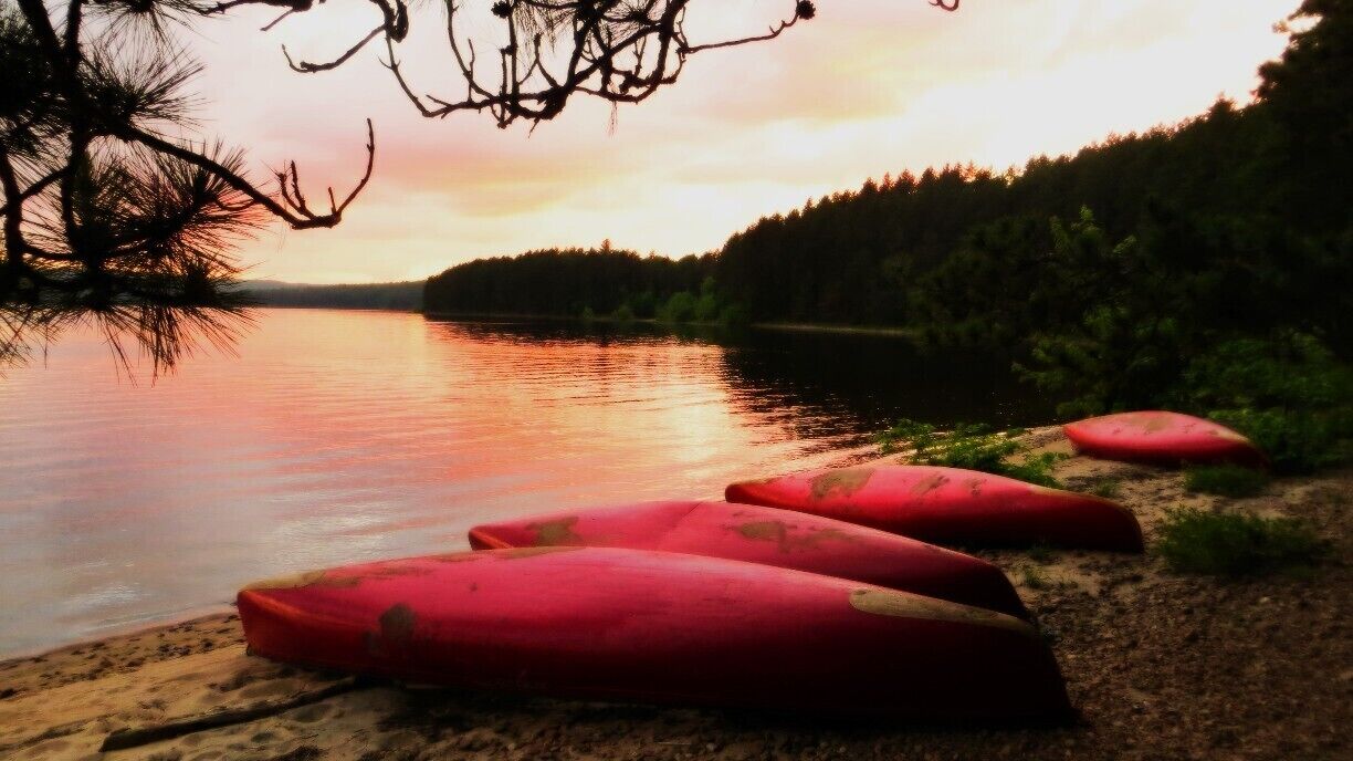 A calm lake at sunset with red kayaks on the shore and a tree silhouetted against the sky.