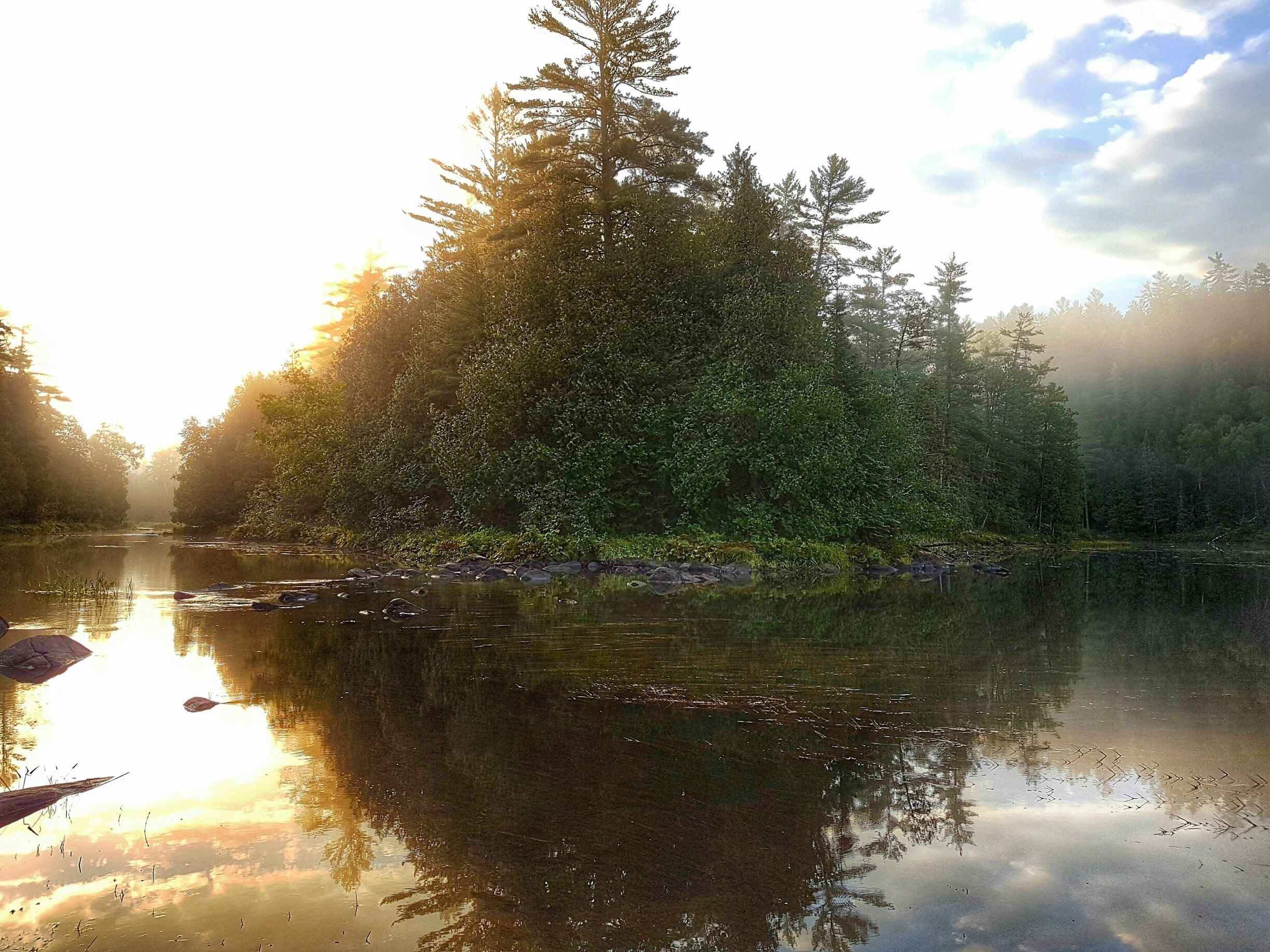 Beautiful sunrise while canoeing camping in Algonquin Provincal Park. #forest #sunrise #outdoors