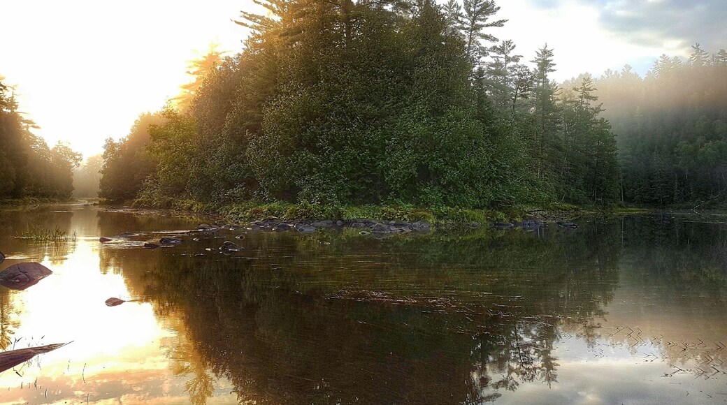 Beautiful sunrise while canoeing camping in Algonquin Provincal Park. #forest #sunrise #outdoors