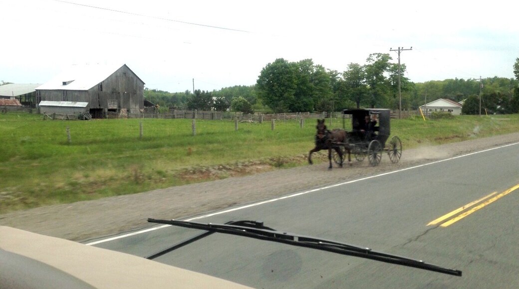 Where one horse power meets 340 horse power.
The farmer waved to us on the way by! (JUNE 2015)