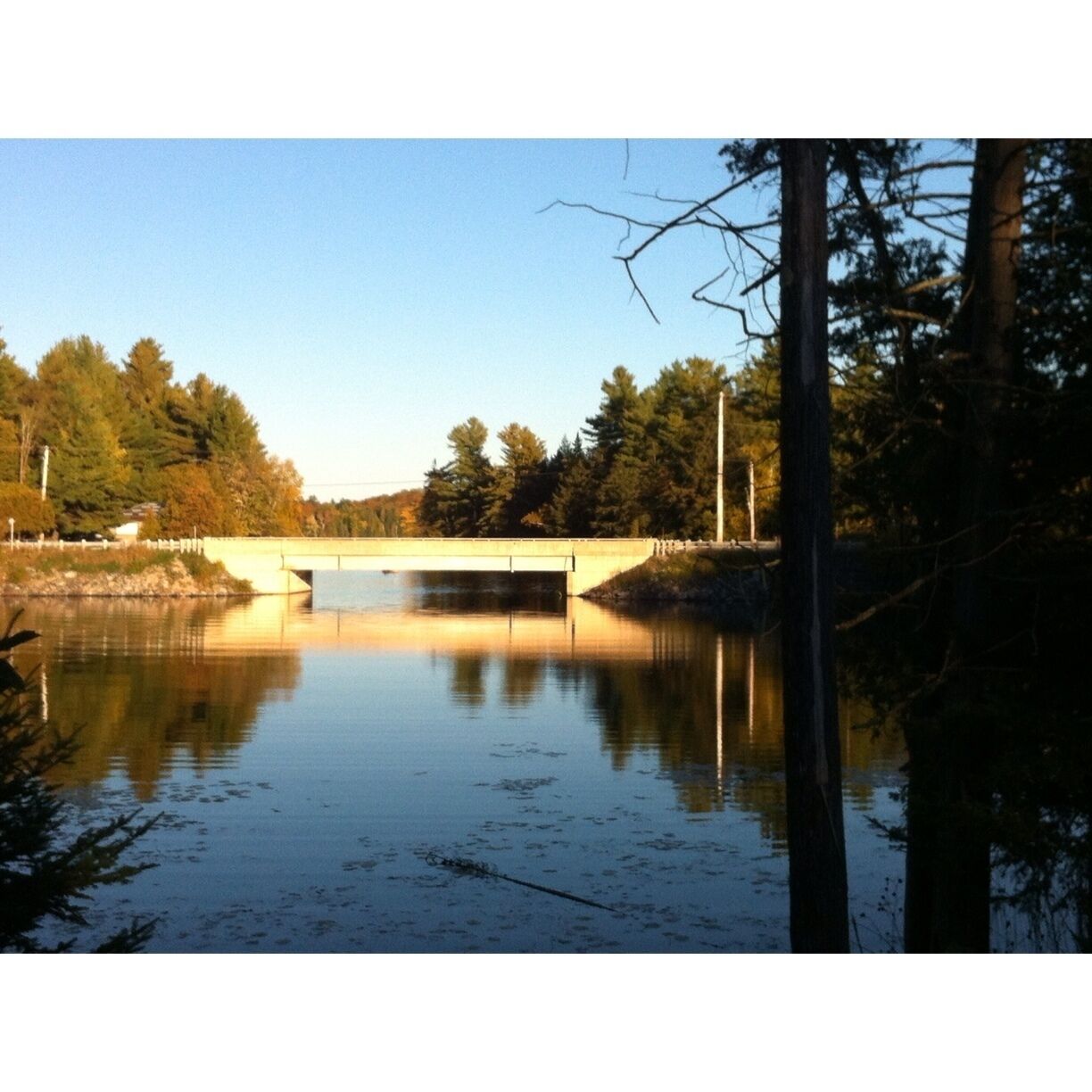 Beautiful little bridge in Elphin, Ontario. 