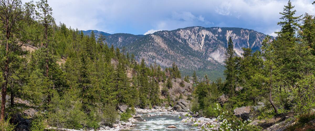 The Stein River in early spring, British Columbia, Canada