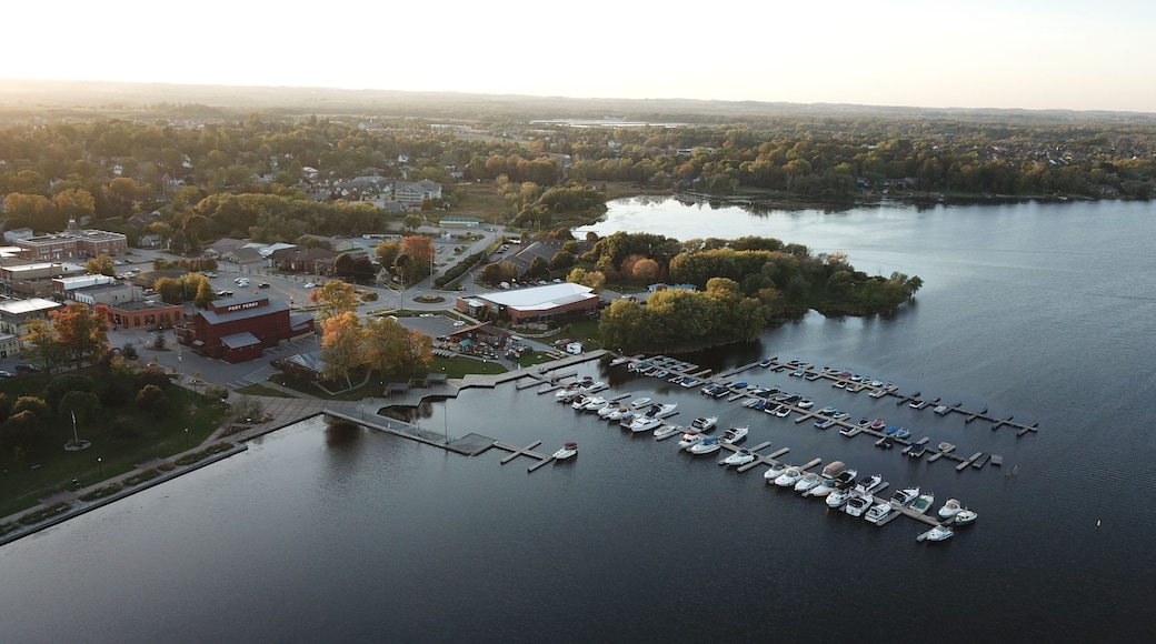 Scugog
