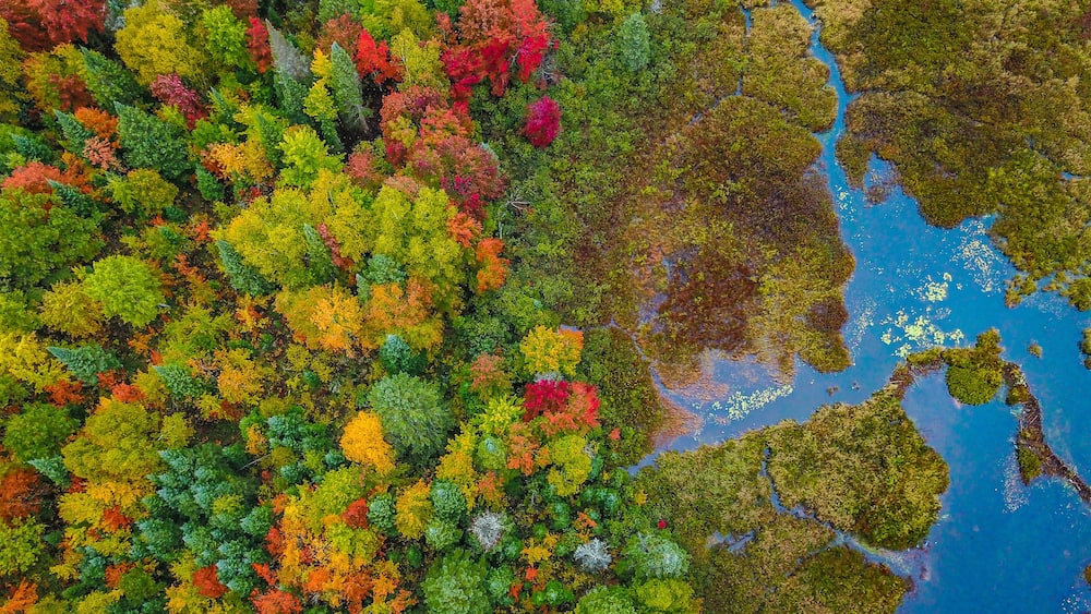 Drone photo of a river in the fall in Ontario