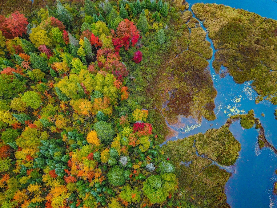 Drone photo of a river in the fall in Ontario