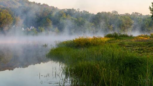 In a river landscape with nature morning with fog