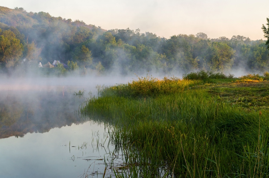 In a river landscape with nature morning with fog