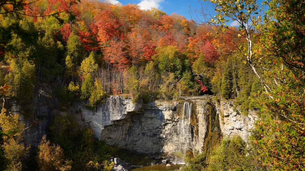 Eugenia Falls on the Beaver river Ontario Canada with Fall trees in color