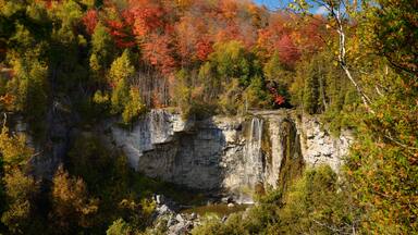Eugenia Falls on the Beaver river Ontario Canada with Fall trees in color
