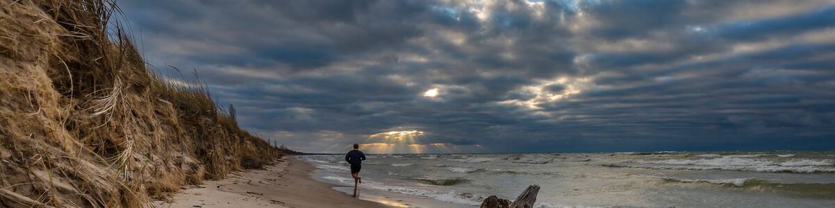 A beach with a person walking, a large driftwood piece, and a cloudy sky.