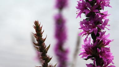 beautiful spot when we camped here for the weekend