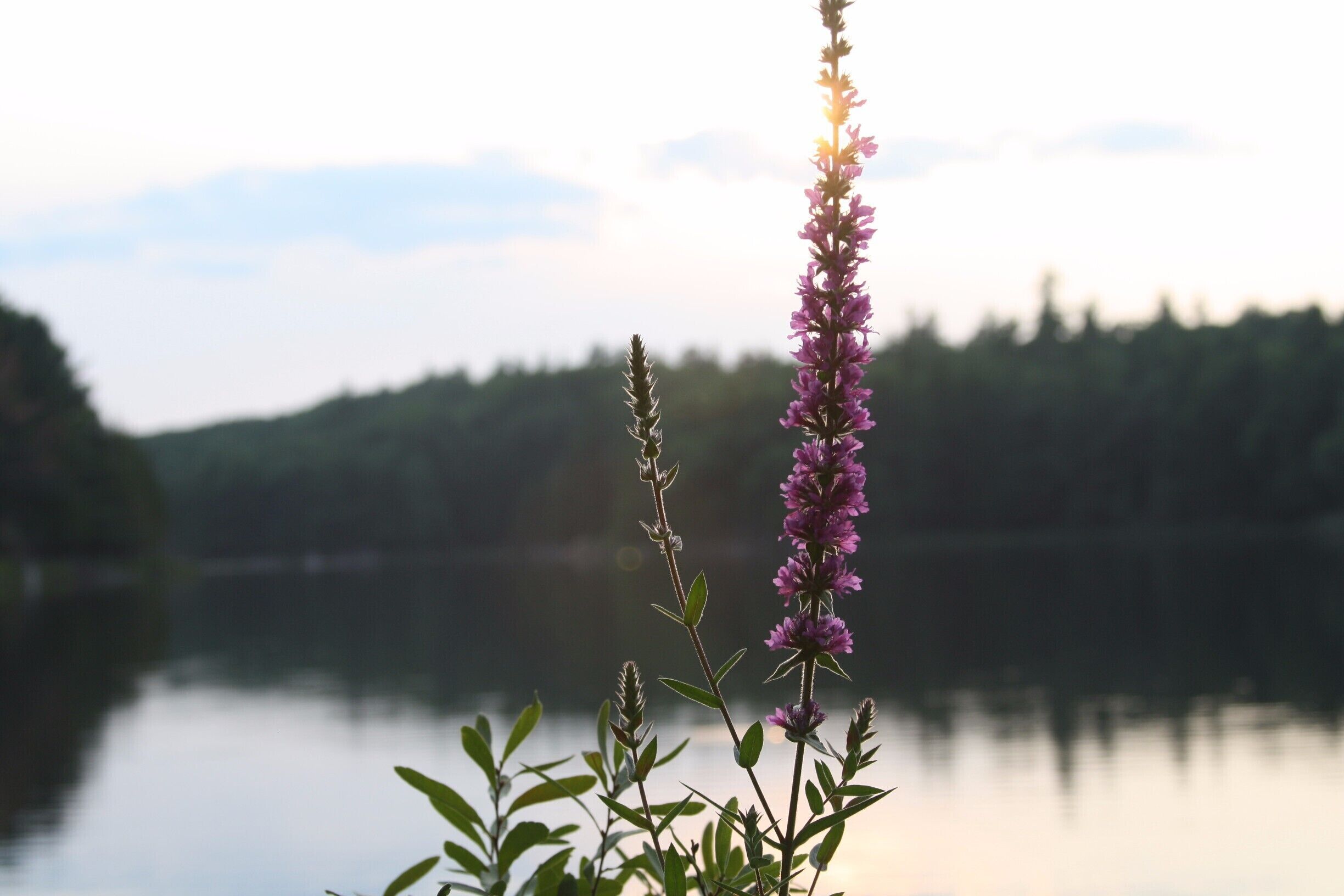 somewhat a secret. Amazing free camping spot. although there are some leaches and water snakes...