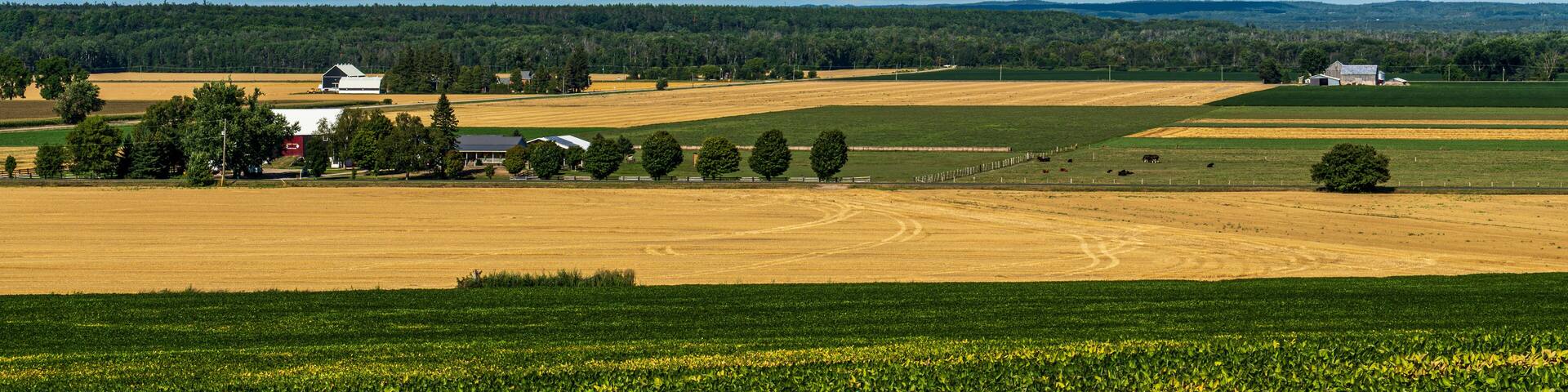 Vespra Valley Farms in Late Summer