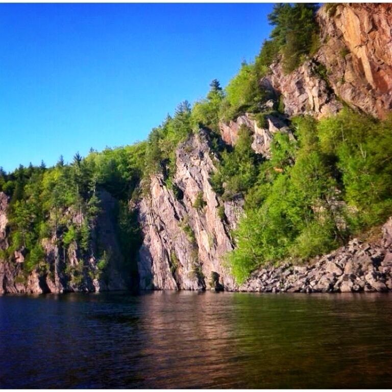 A rocky shoreline with dense green foliage and a calm body of water.