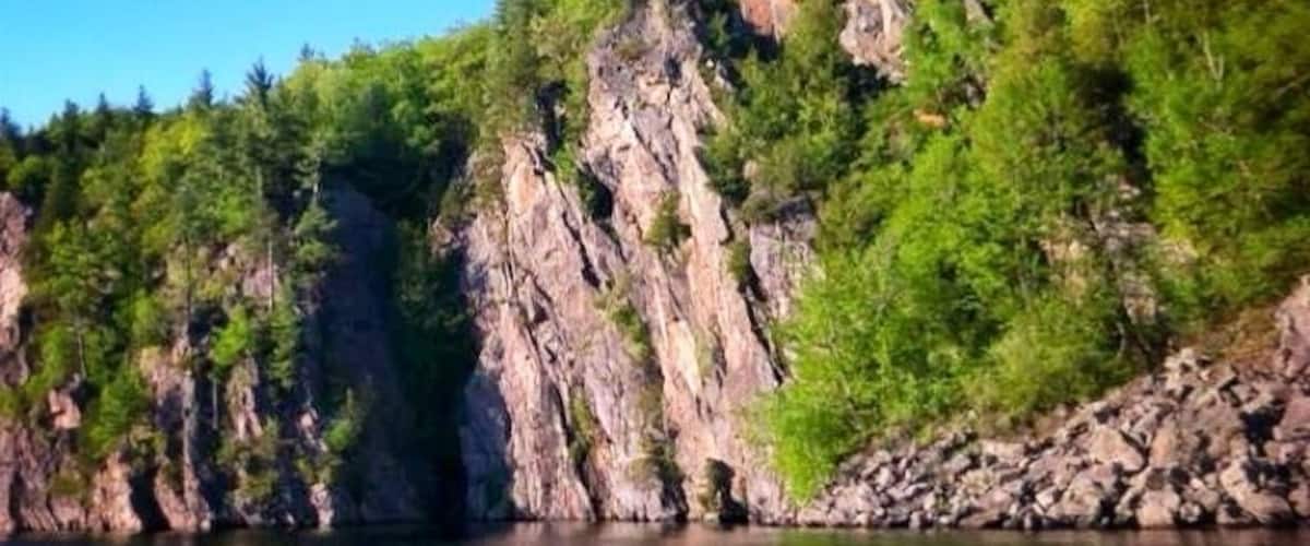 A rocky shoreline with dense green foliage and a calm body of water.