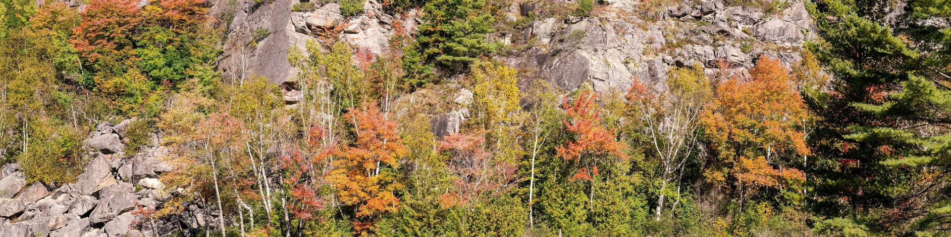 A calm lake surrounded by autumn-colored trees and rocky terrain.
