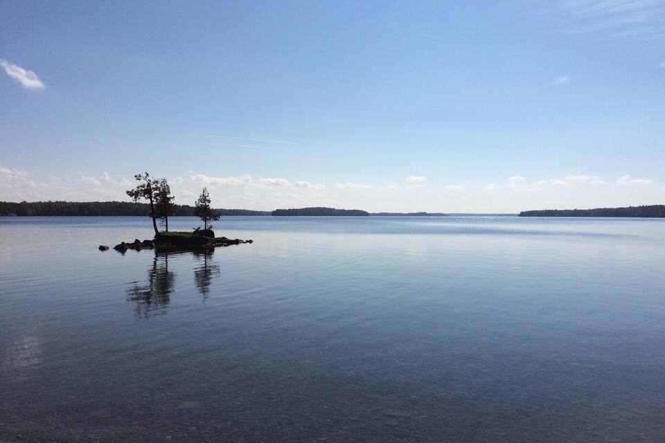 A calm lake with a small island featuring two trees.