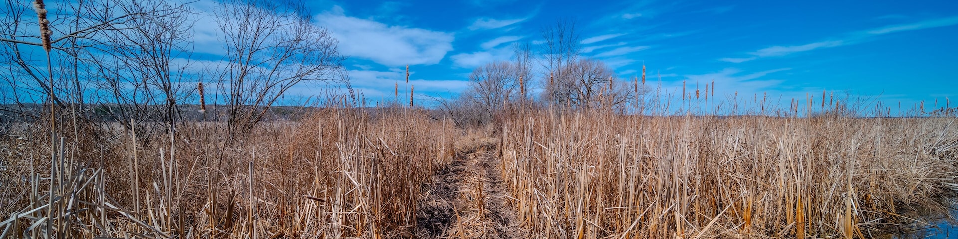 Scenic view of the serene landscape by Sturgeon Bay near Casawell Beach, Waubaushene, featuring the natural beauty of Robins Point in Tay, Simcoe County, Ontario, Canada. Overlooking Green Island, the