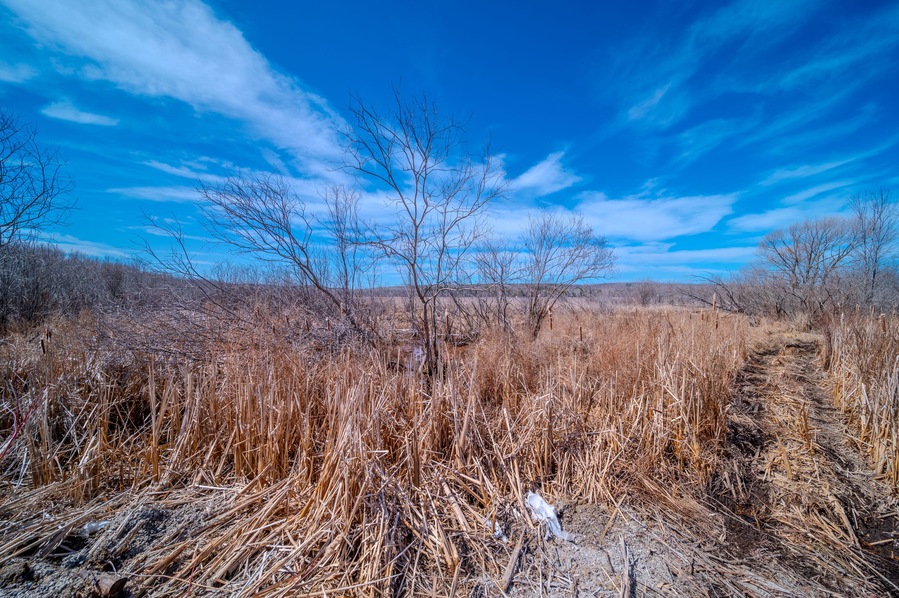 Scenic view of the serene landscape by Sturgeon Bay near Casawell Beach, Waubaushene, featuring the natural beauty of Robins Point in Tay, Simcoe County, Ontario, Canada. Overlooking Green Island, the