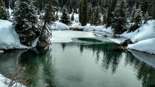 スプリングウォーター