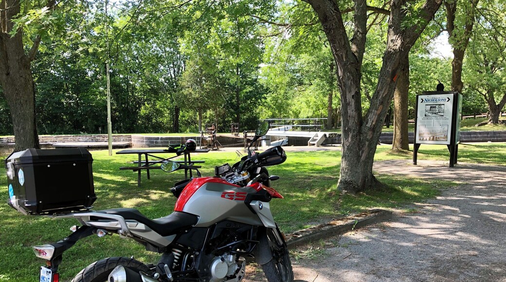 You never know what you will come across when youâre out for a ride.