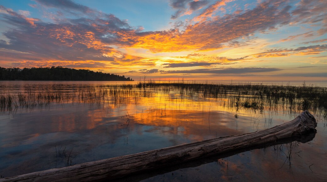 Sunset at MacGregor Point Provincial Park. The park is open for camping year round (yurts in the winter) and the views of Lake Huron are phenomenal.
The campsite has a couple of beaches, many hiking and biking trails, and is popular with birders. Definitely one of the best campsites in #MyBackyard