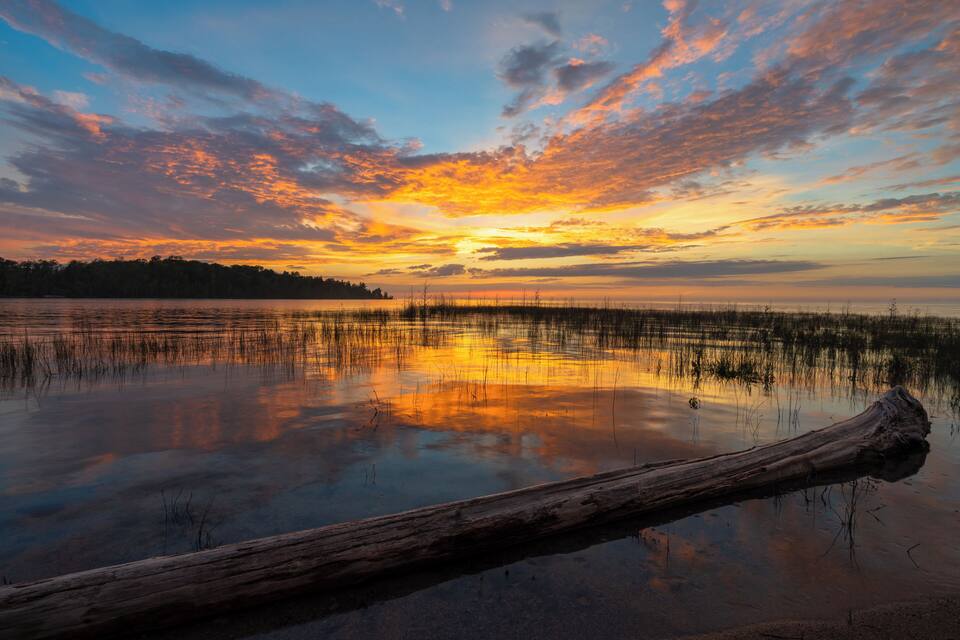 Un coucher de soleil sur un lac paisible, avec un tronc d’arbre au premier plan et une rive boisée.