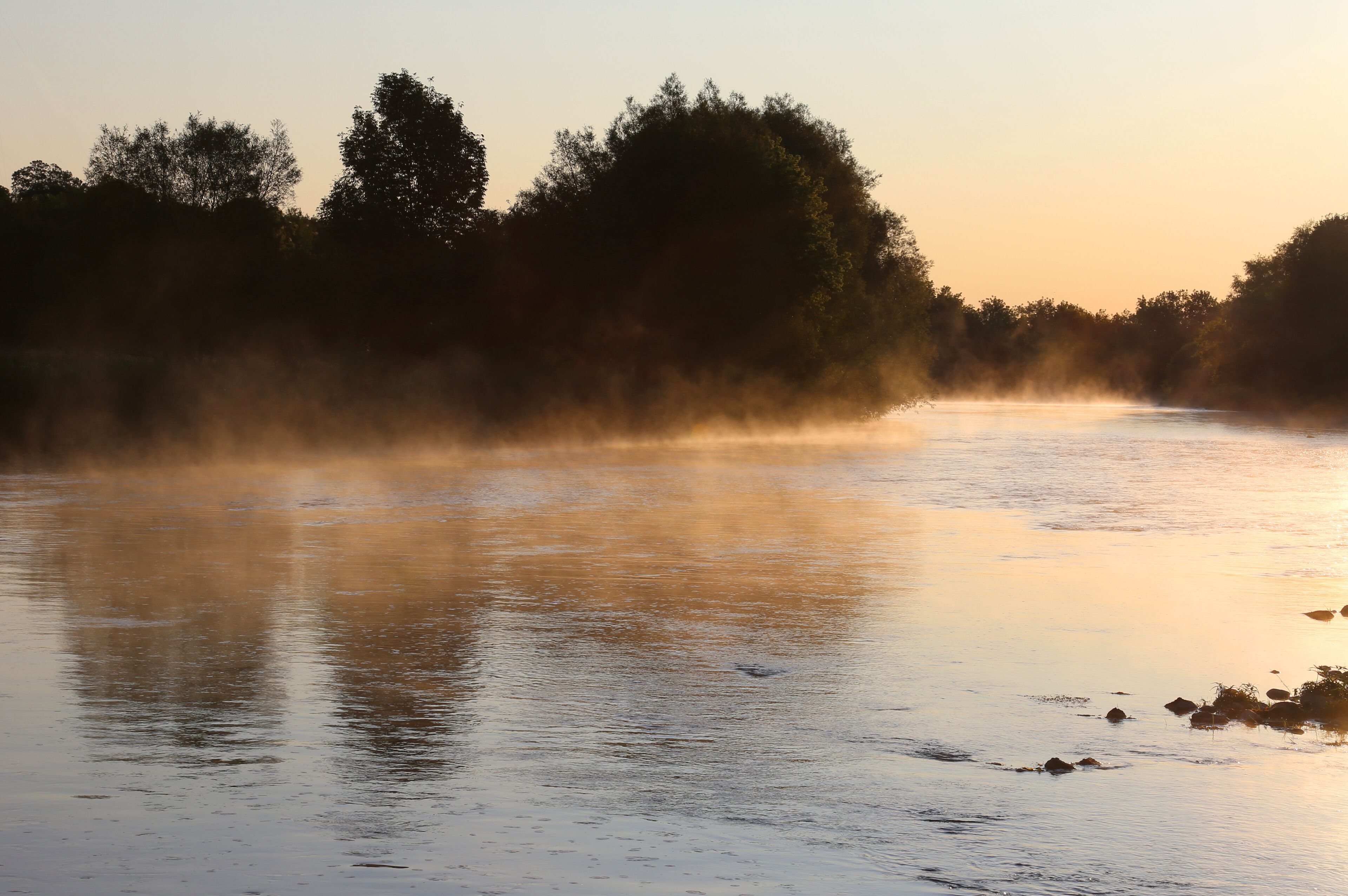 Golden mist rises off the Conestogo River, just outside St. Jacobs, Ontario, Canada.