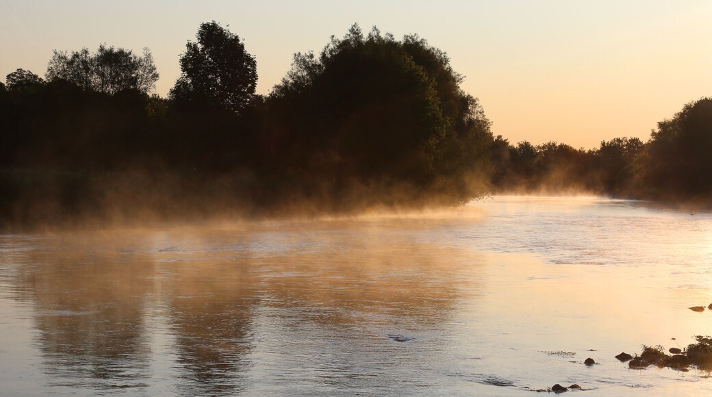 Golden mist rises off the Conestogo River, just outside St. Jacobs, Ontario, Canada.