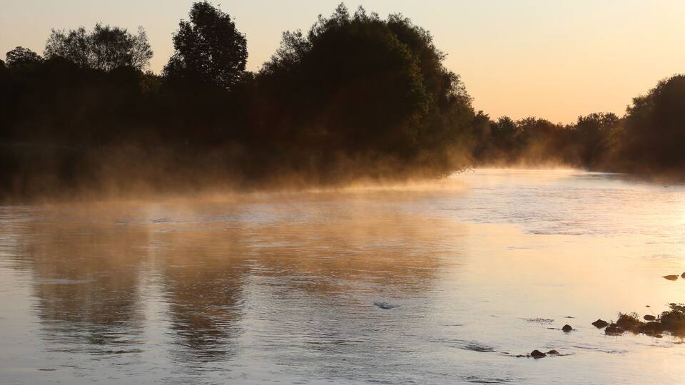 A river with mist rising from the water, surrounded by trees.