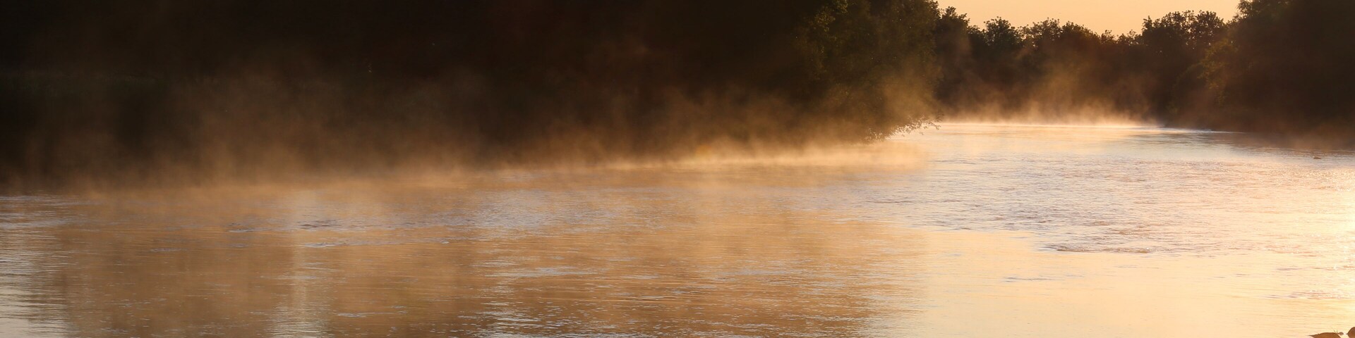 Golden mist rises off the Conestogo River, just outside St. Jacobs, Ontario, Canada.