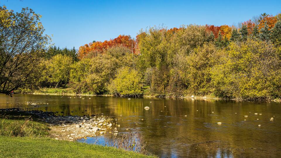 A river with autumn foliage, clear skies, and a grassy bank.