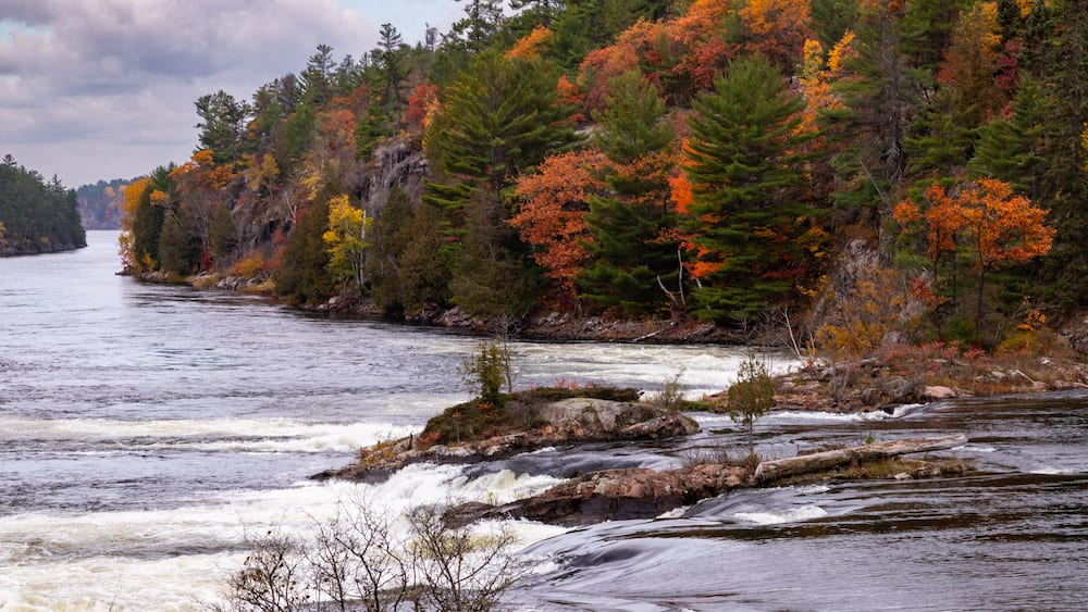 A river with white water rapids, surrounded by trees with autumn foliage.