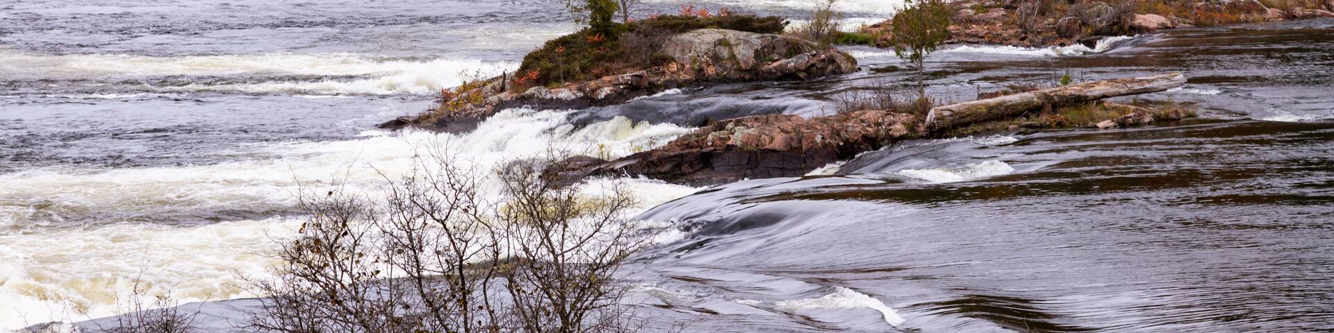 A river with white water rapids, surrounded by trees with autumn foliage.