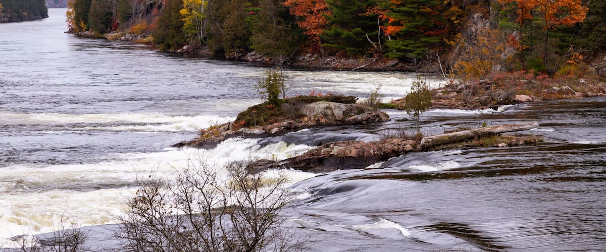 A river with white water rapids, surrounded by trees with autumn foliage.